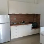 Case de vacanță Ioannas *
