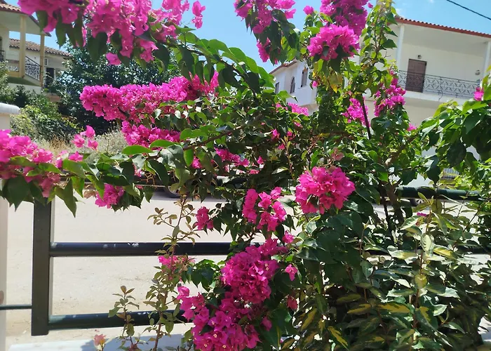 Ioannas * Nikiti (Sithonia)