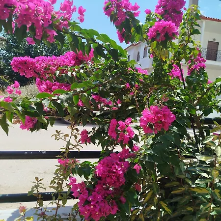 Ioannas * Nikíti